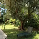 Il Giardino Casamari